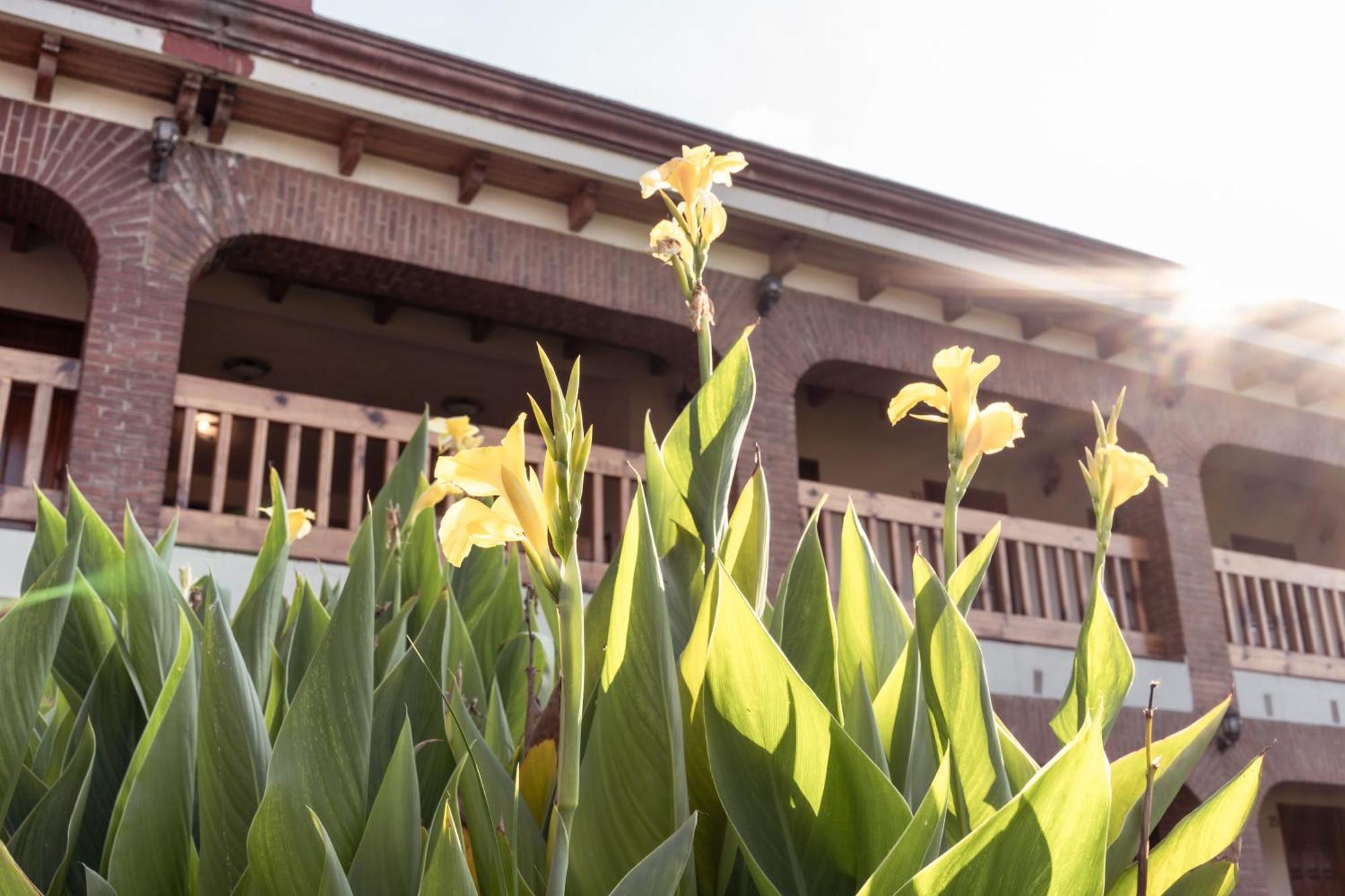 Hotel La Casona Jilotepec de Abasolo ภายนอก รูปภาพ